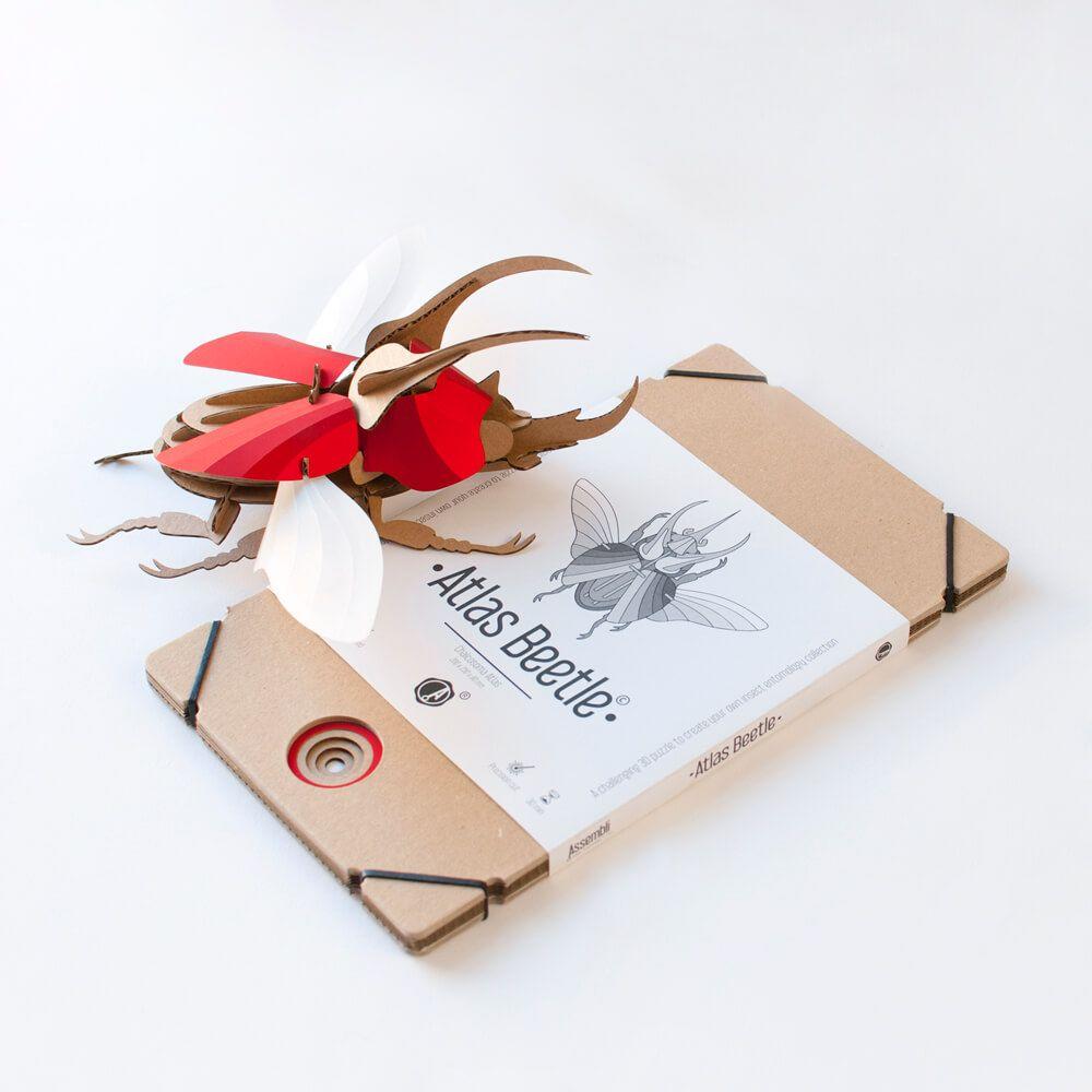 Atlas Beetle - Kit insecte en carton Assembli 