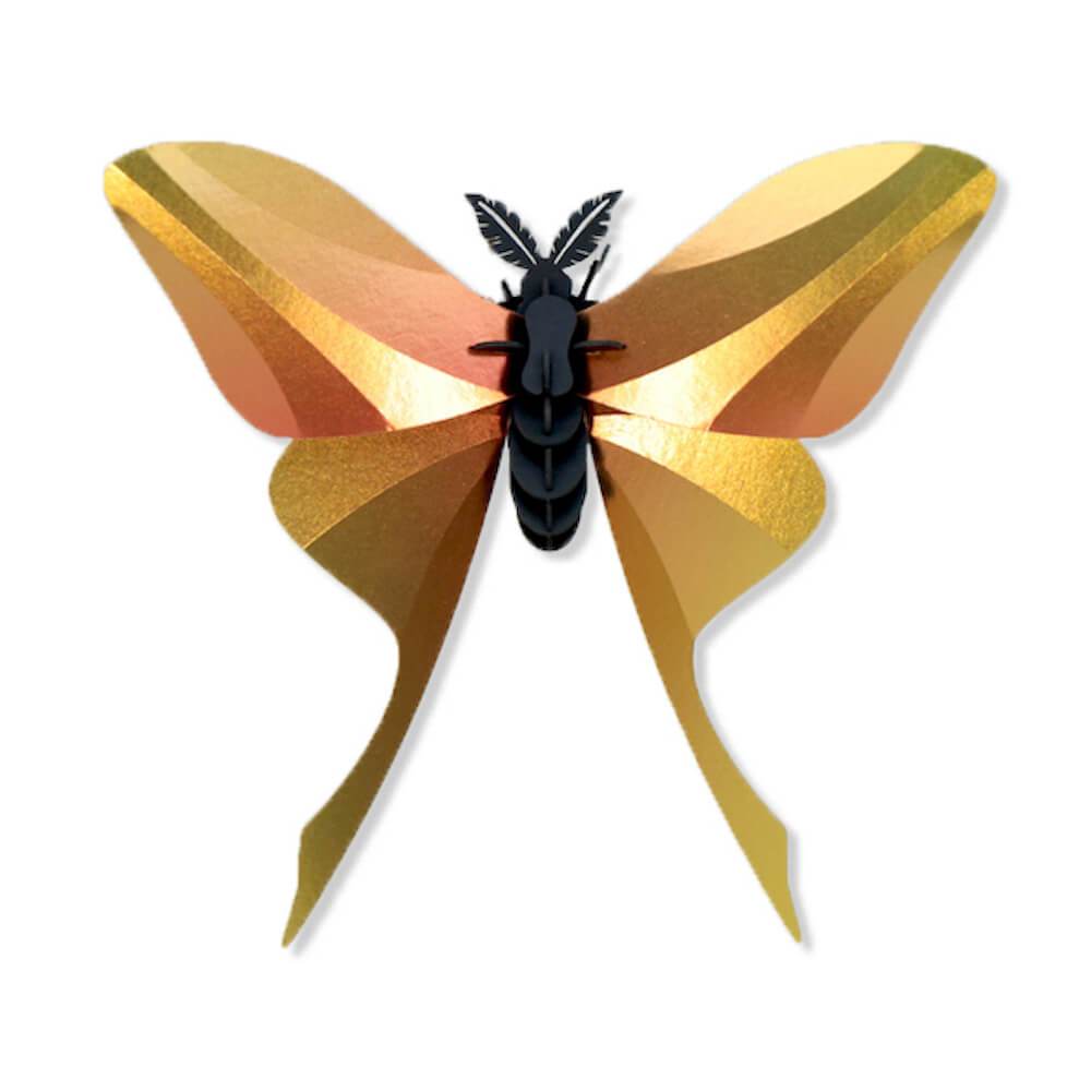 Chinese Moon Butterfly - Kit insecte en carton Assembli 