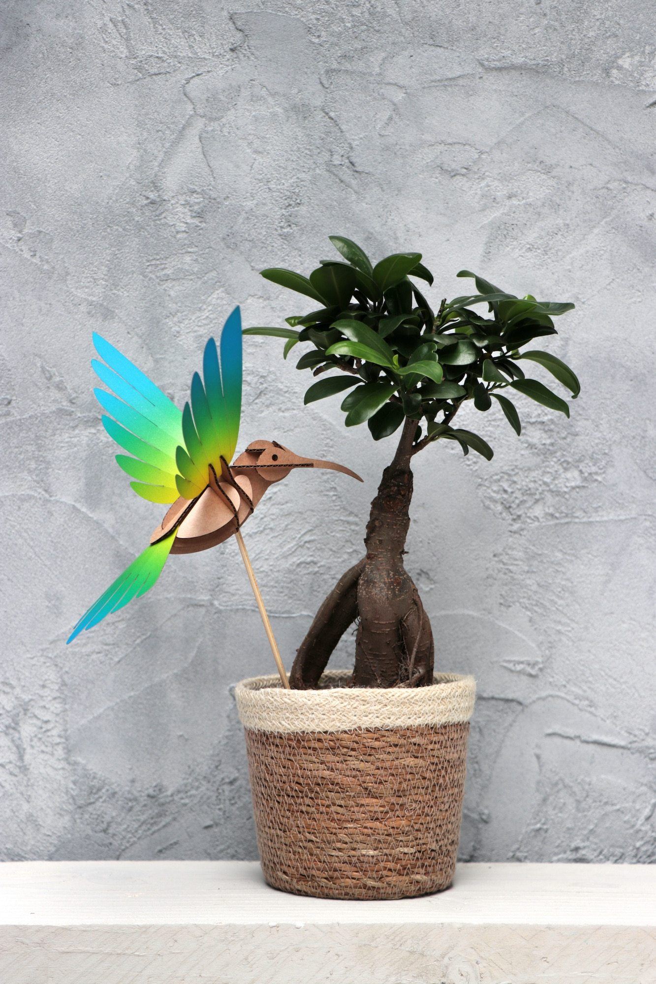 Colibri - Kit oiseau en carton Assembli 