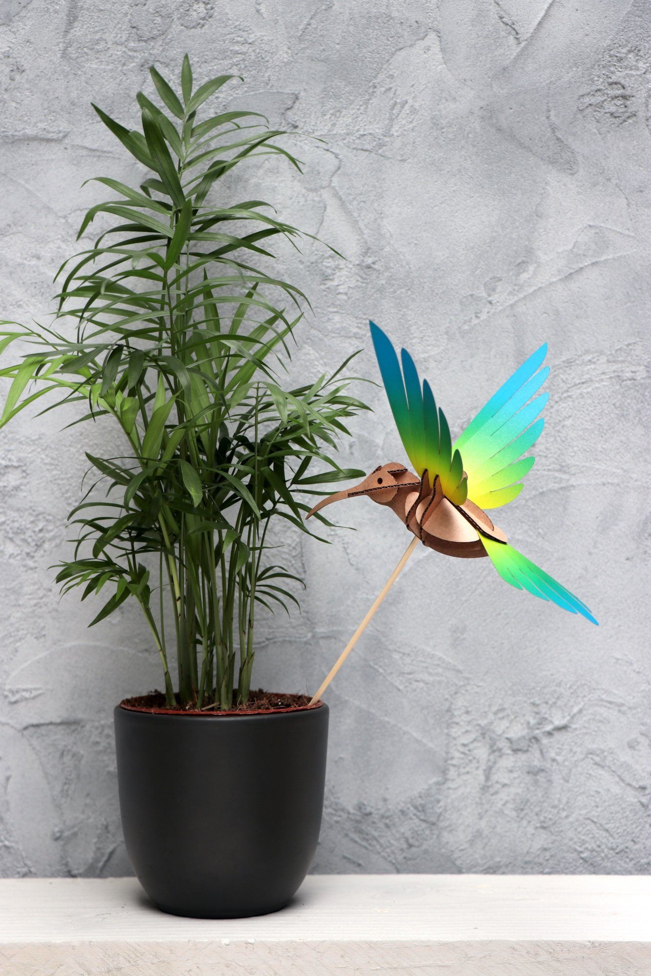 Colibri - Kit oiseau en carton Assembli 
