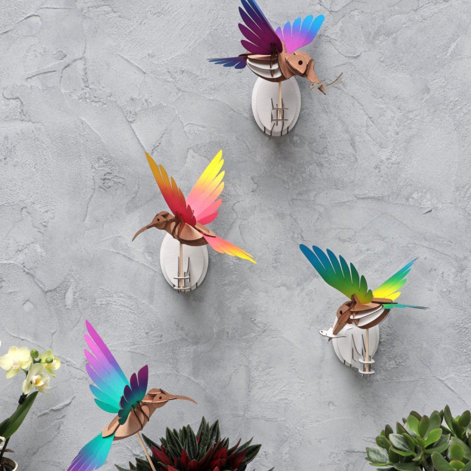 Colibri - Kit oiseau en carton Assembli 