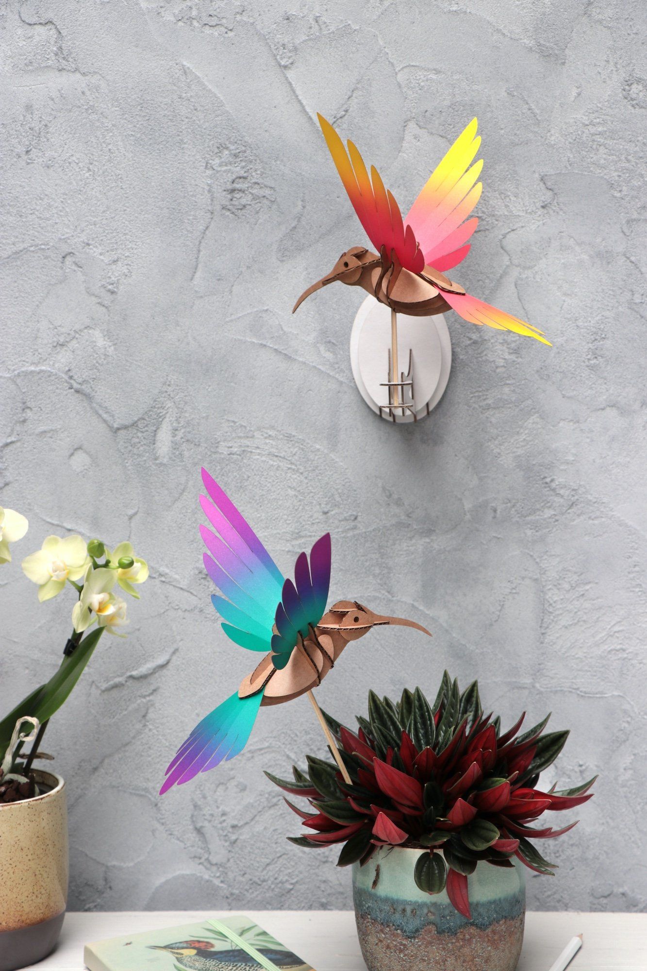 Colibri - Kit oiseau en carton Assembli 
