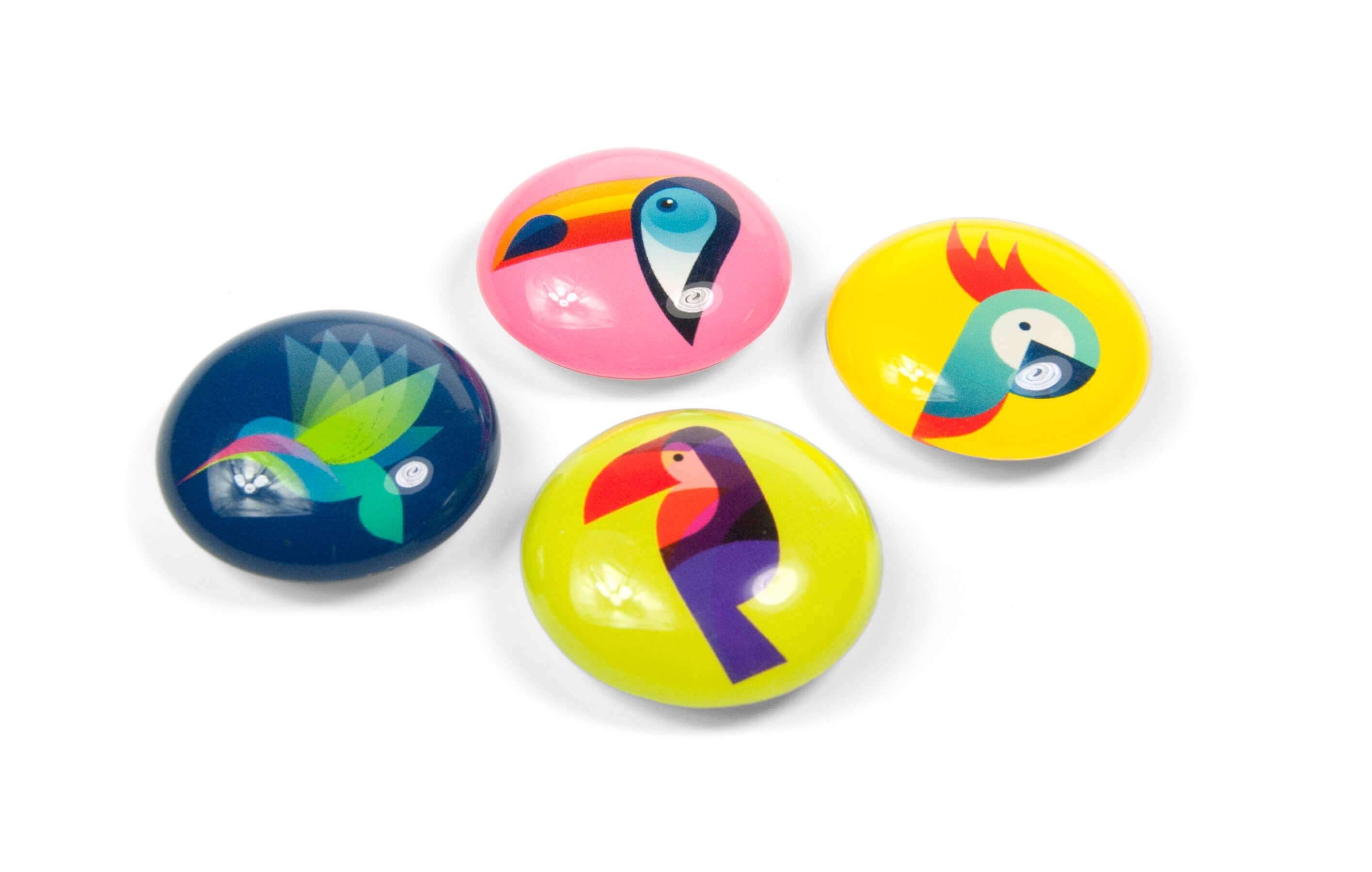 Eye Paradise Birds - Magnet 4 pcs Trendform 