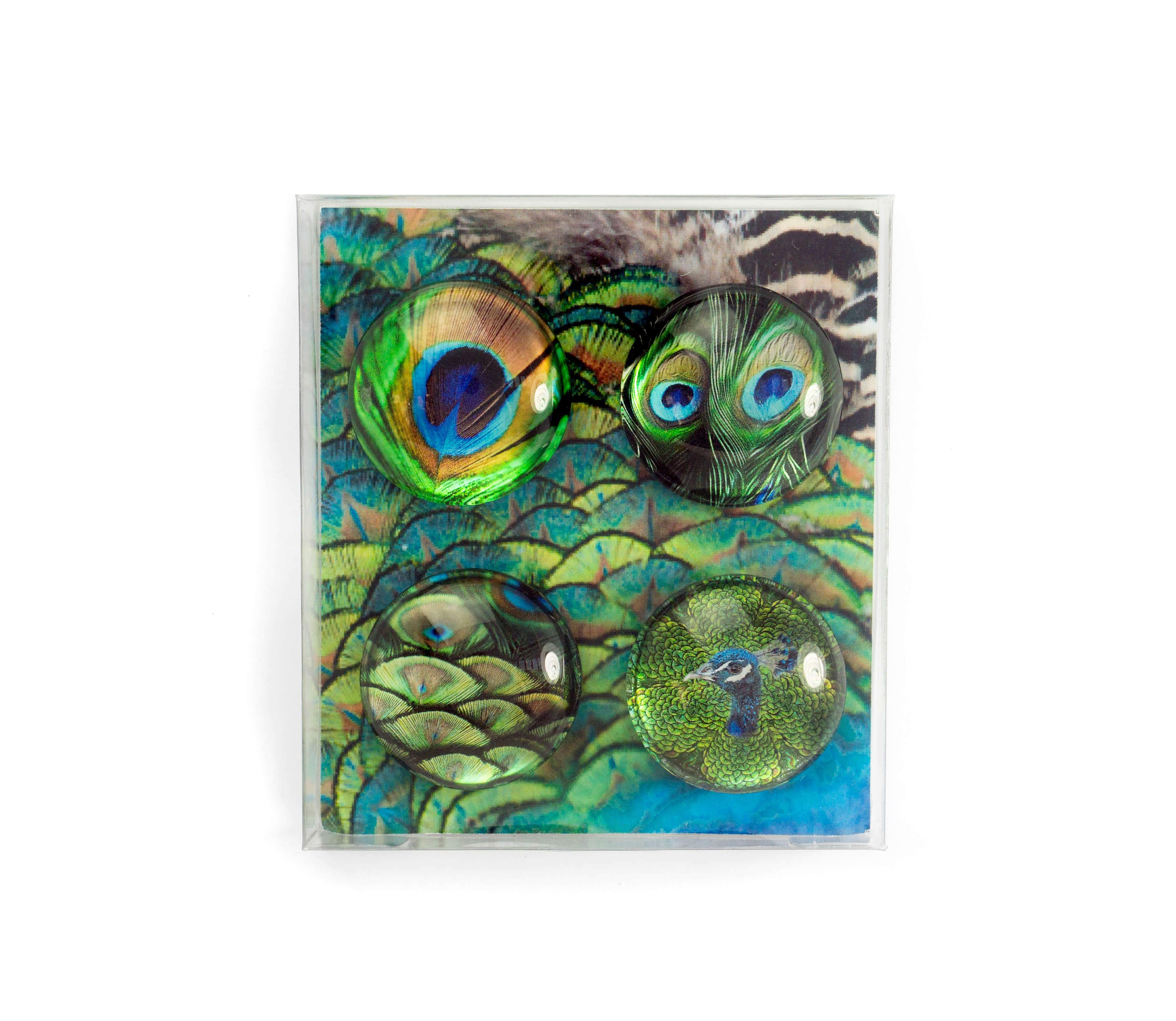 Eye Peacock - Magnet 4 pcs Trendform 