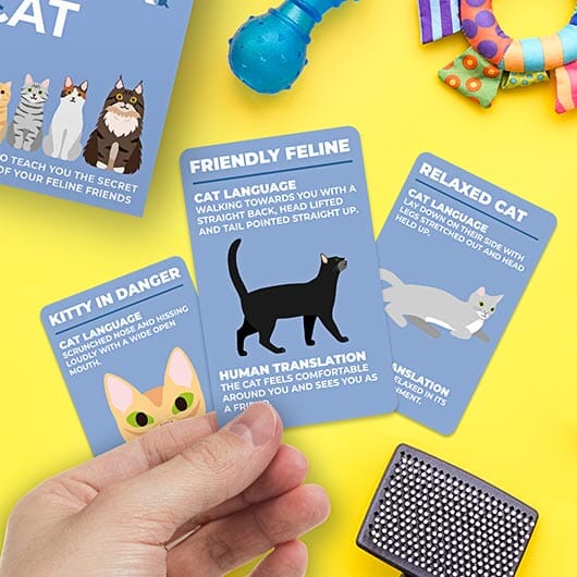 How to speak cat - Set de cartes Gift Republic 