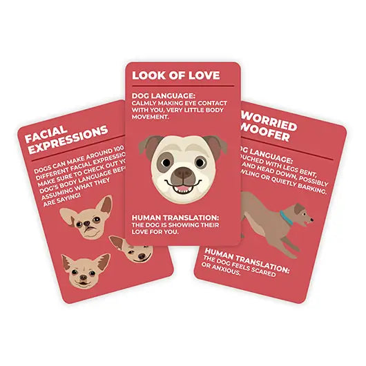 How to speak dog - Set de cartes Gift Republic 