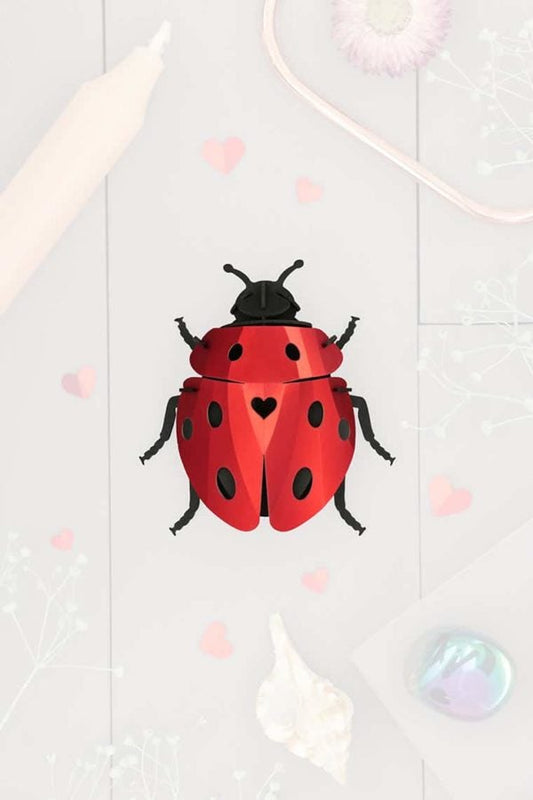 Ladybug - Insecte en carton Assembli 