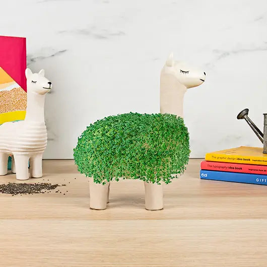 Llama planter - Pot plante lama Gift Republic 