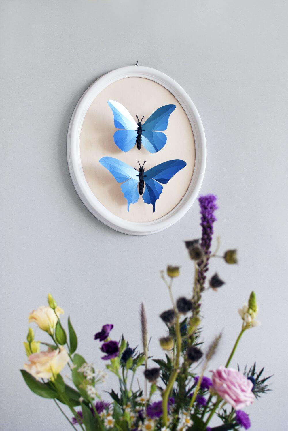 Morpho Butterfly - Kit insecte en carton Assembli 
